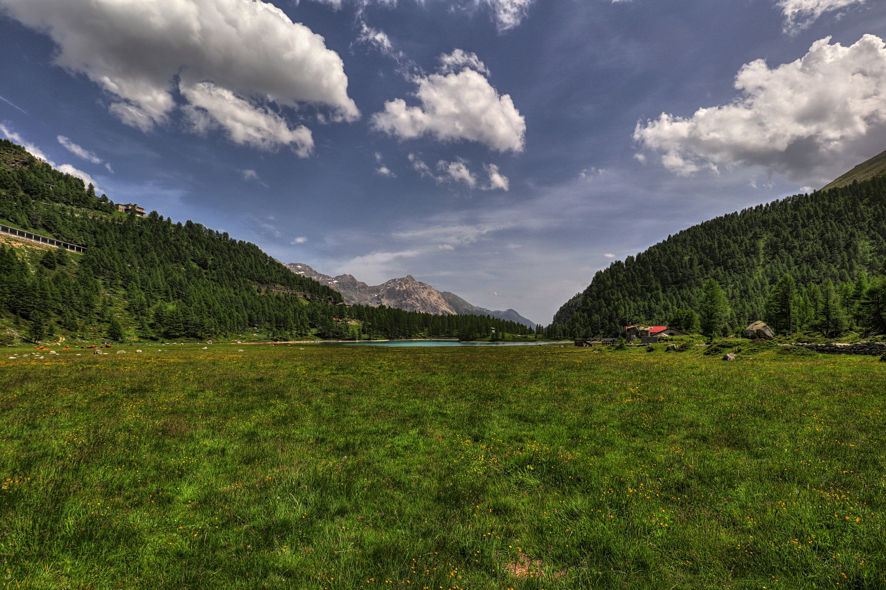 IMG_7491-hdr.jpg