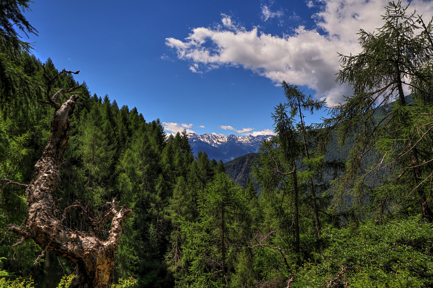 IMG_0682-hdr.jpg