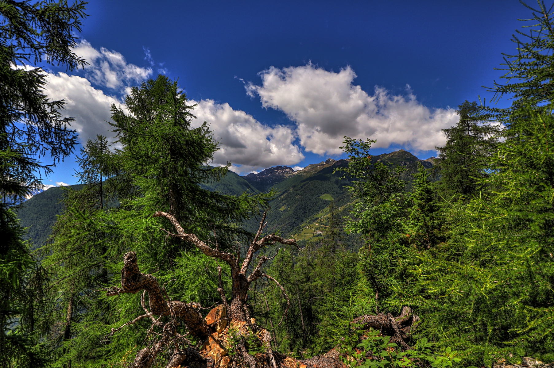 IMG_0685-hdr.jpg