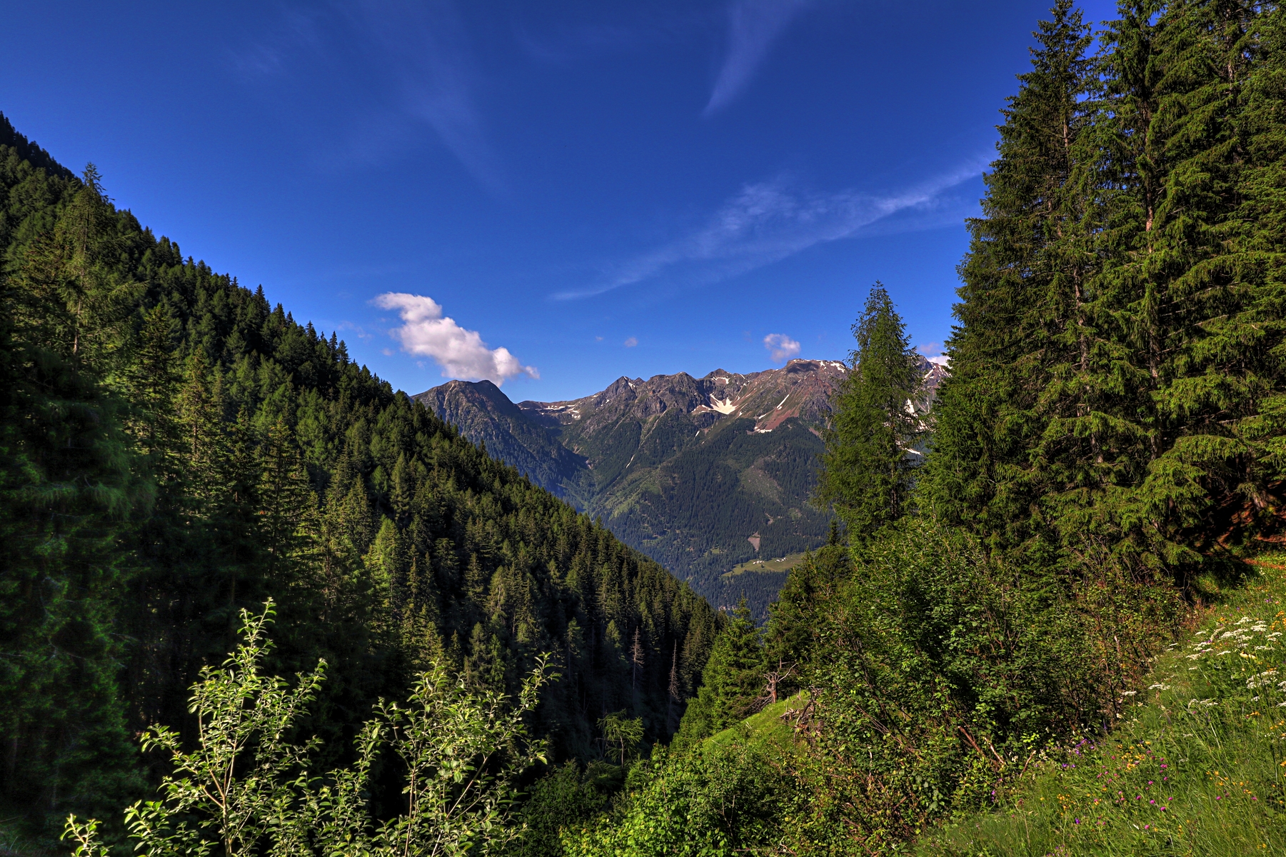 IMG_0841-hdr.jpg