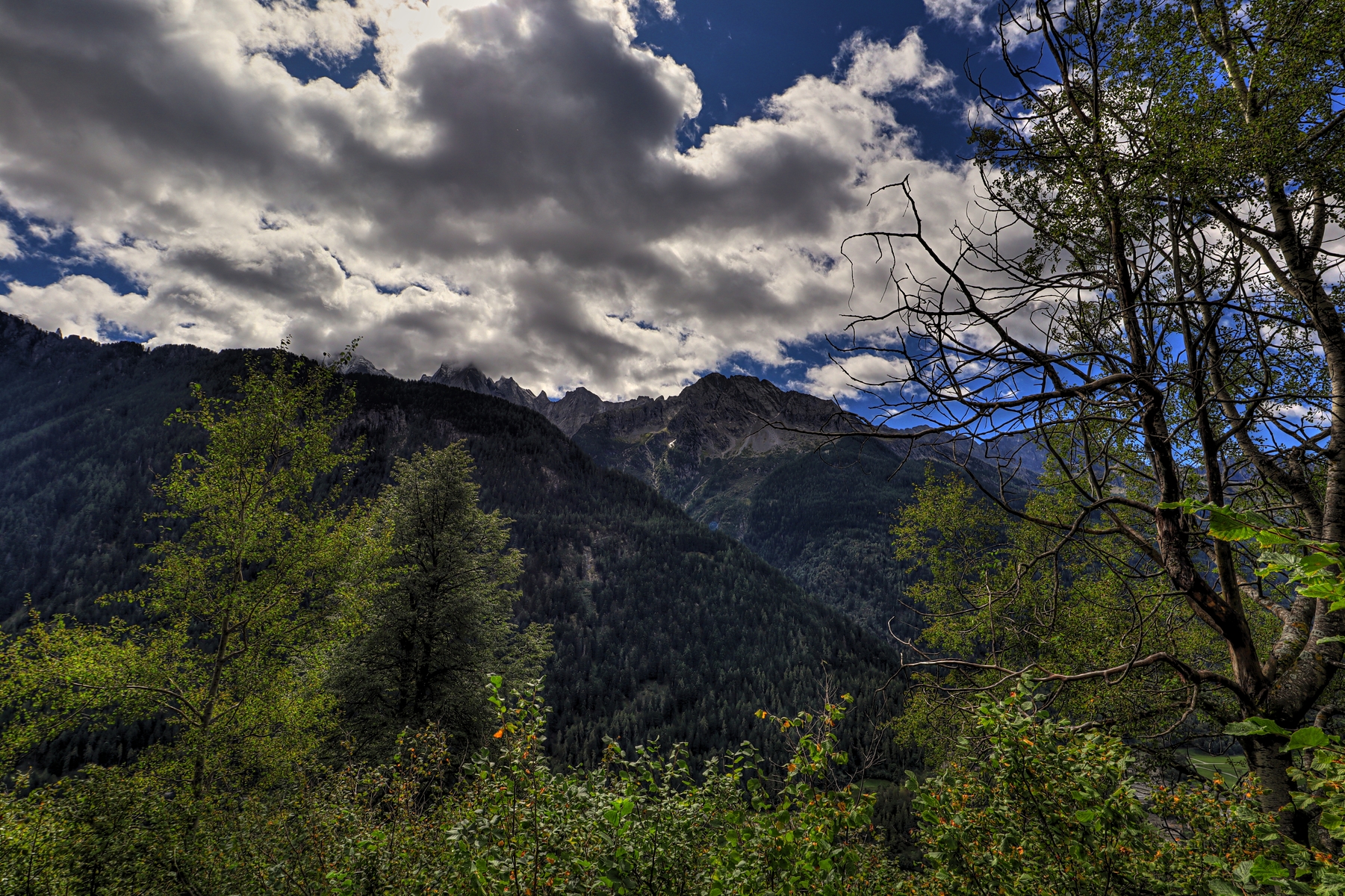 IMG_1830-hdr.jpg