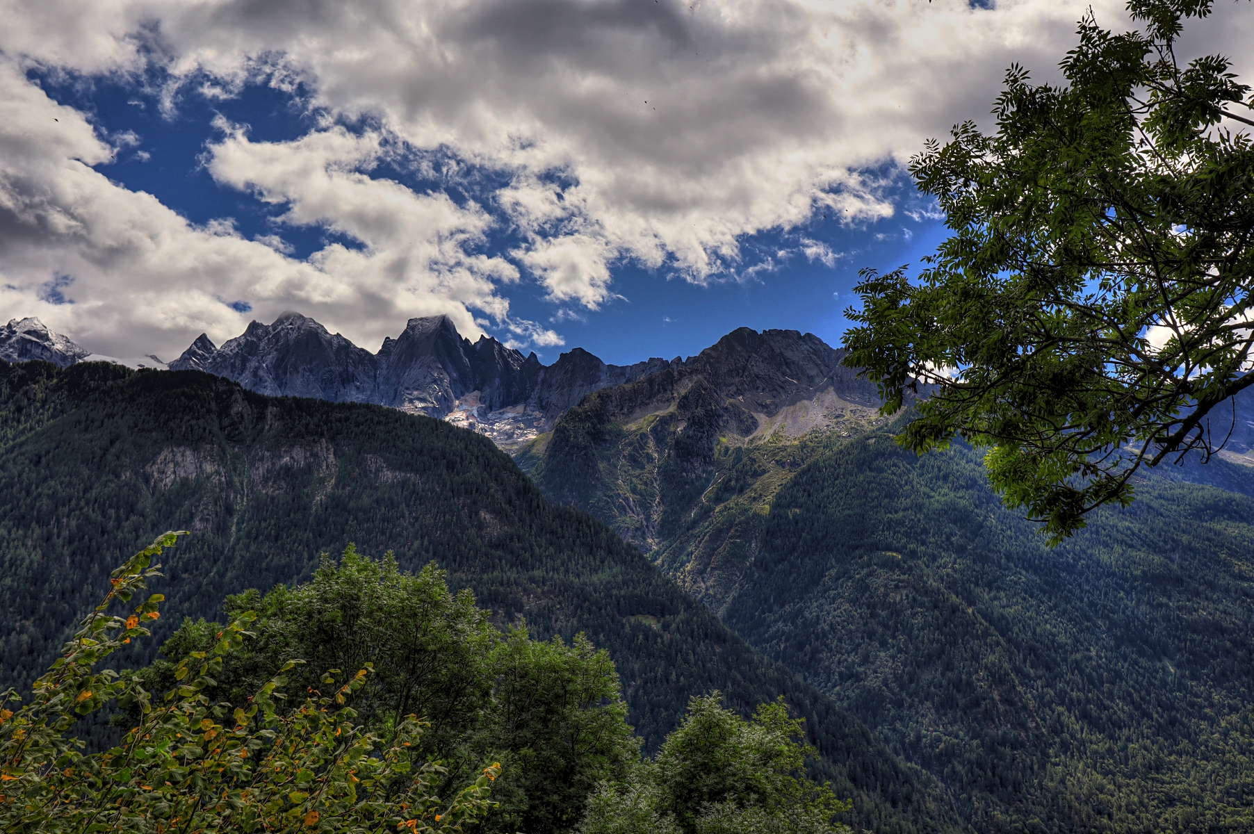 IMG_1854-hdr.jpg