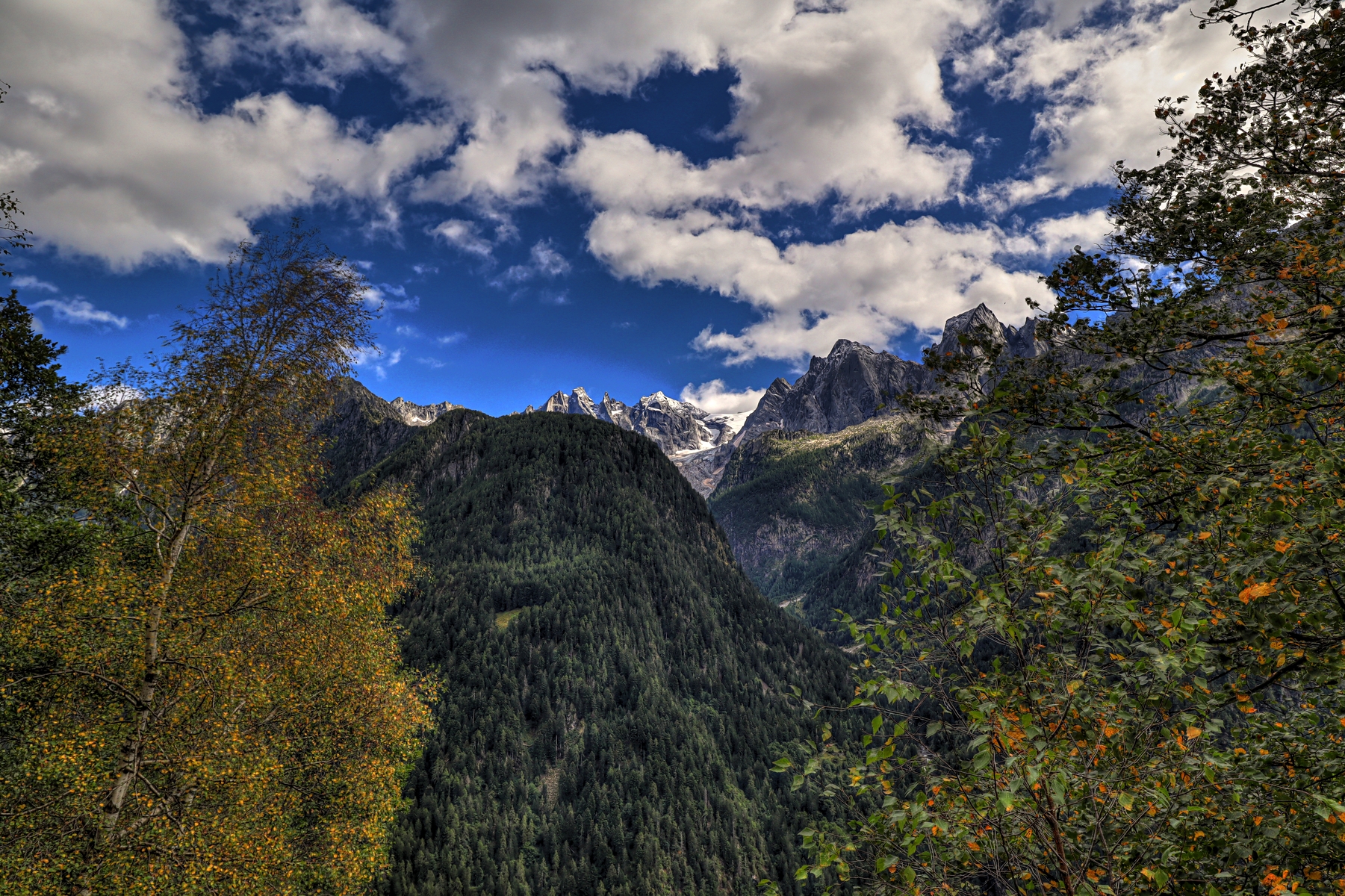 IMG_1899-hdr.jpg