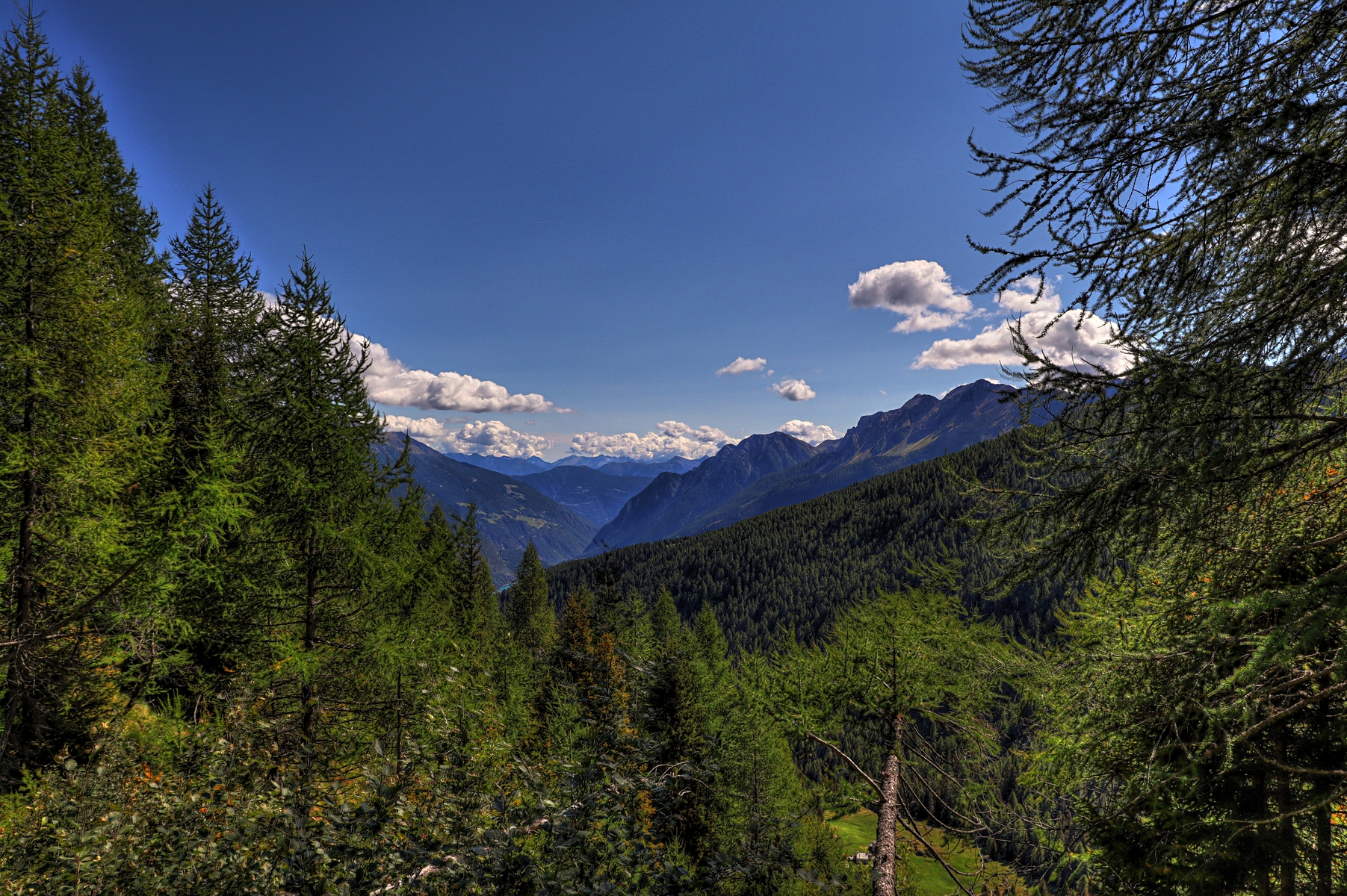 IMG_2201-hdr.jpg