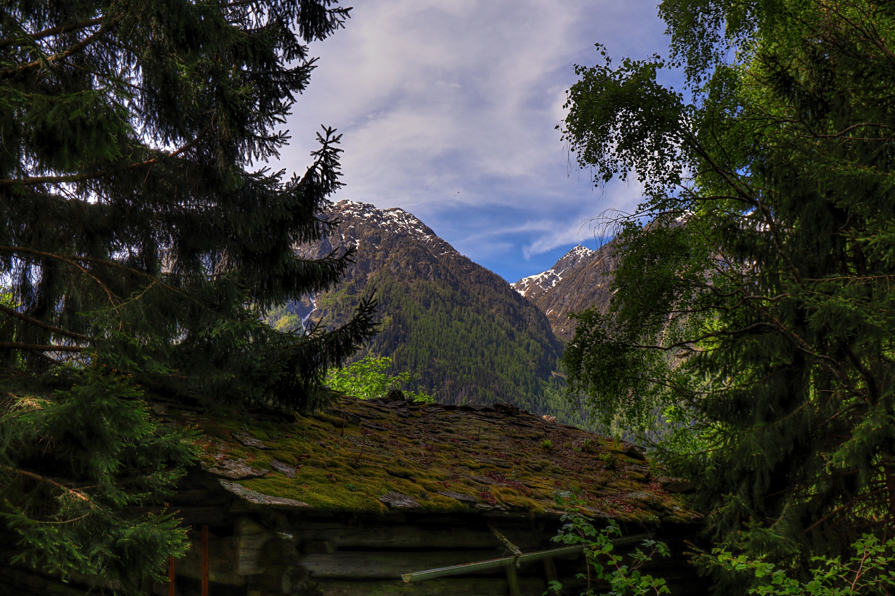 IMG_4812-hdr.jpg