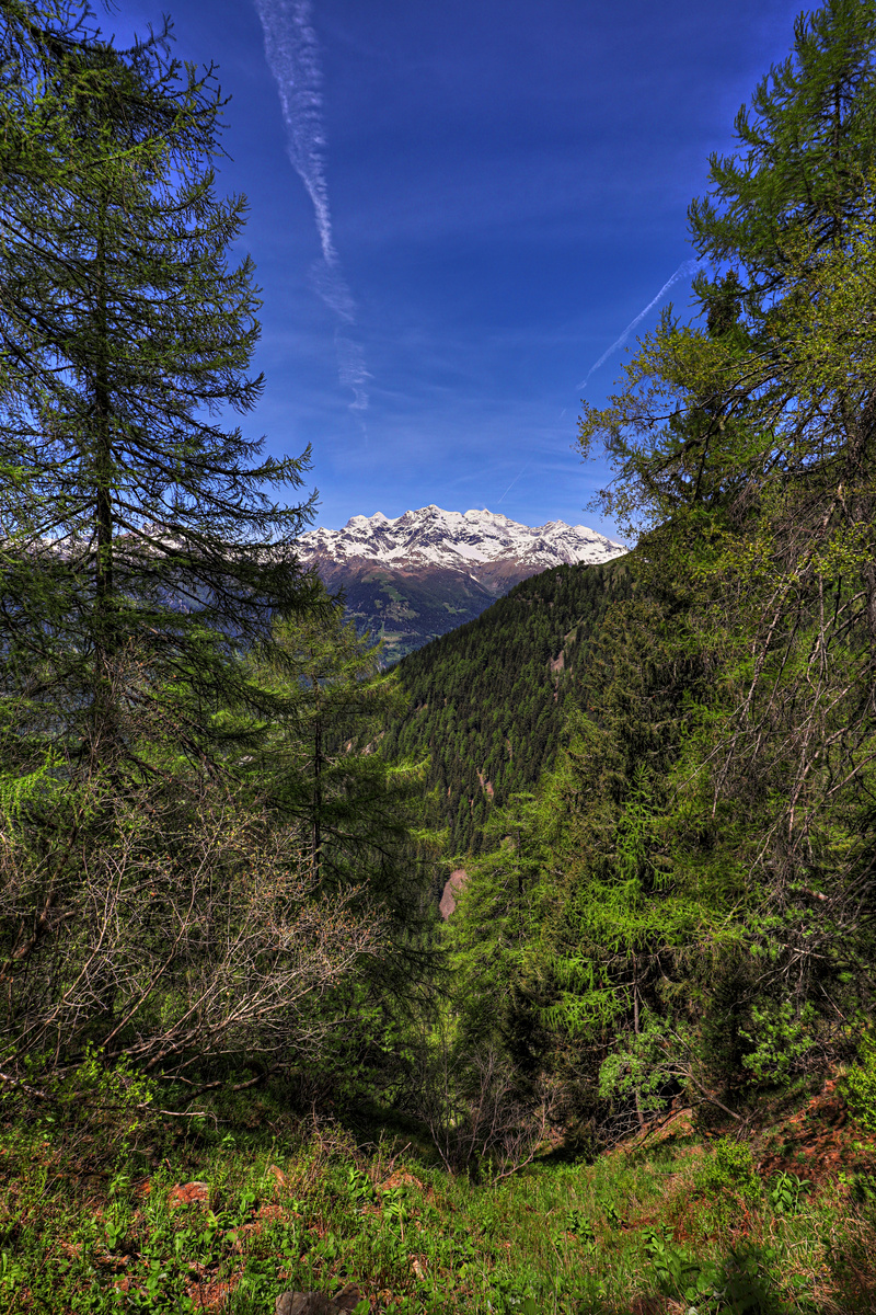 IMG_4856-hdr.jpg