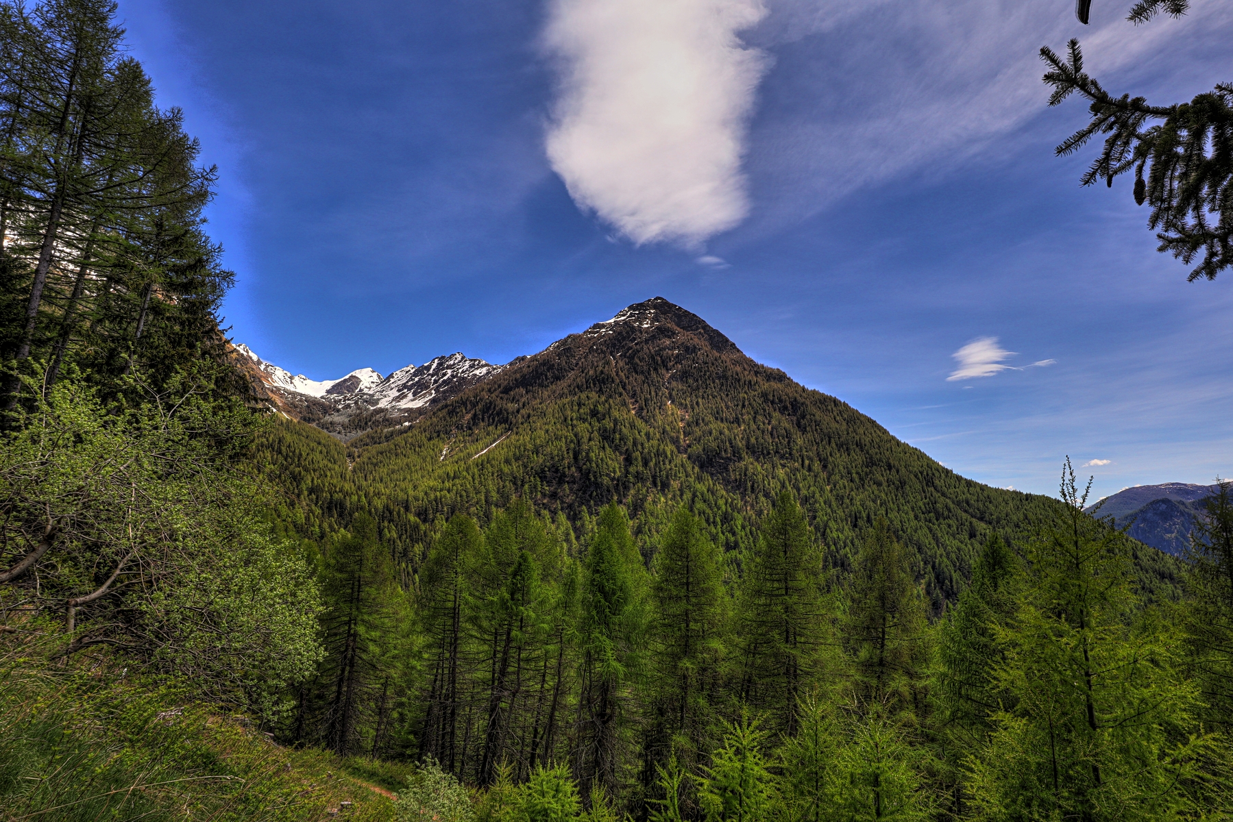 IMG_4877-hdr.jpg