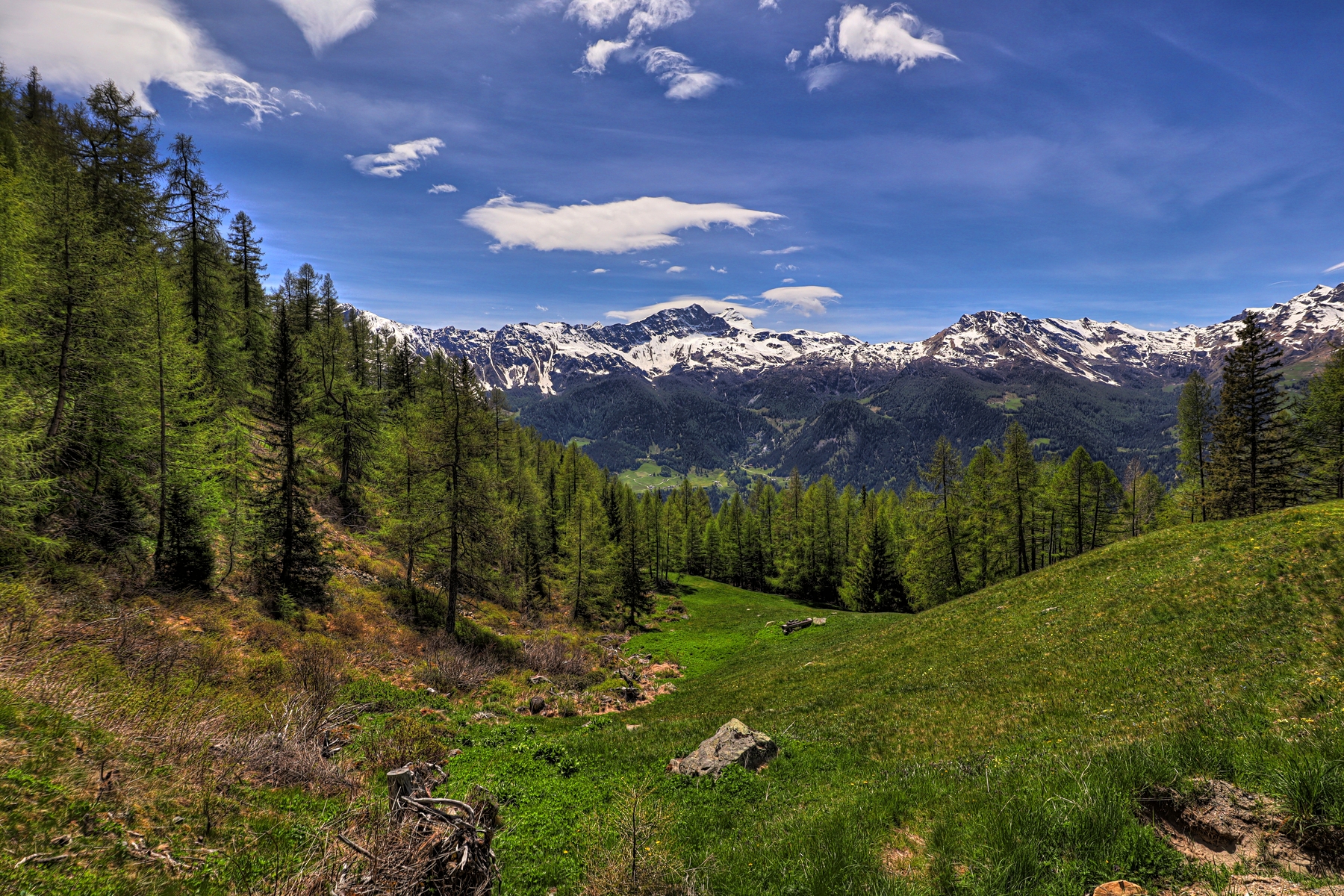 IMG_4931-hdr.jpg