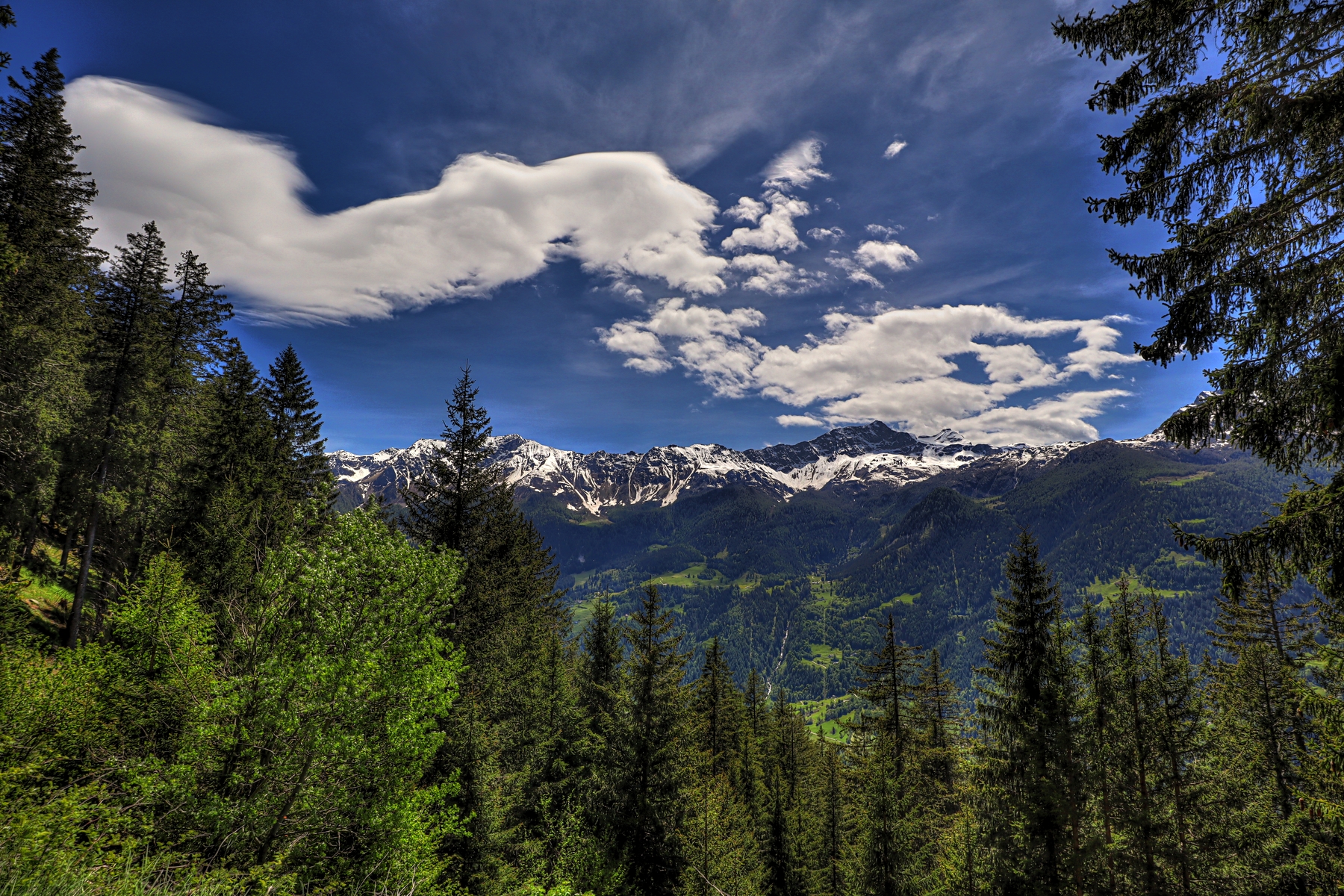 IMG_4951-hdr.jpg