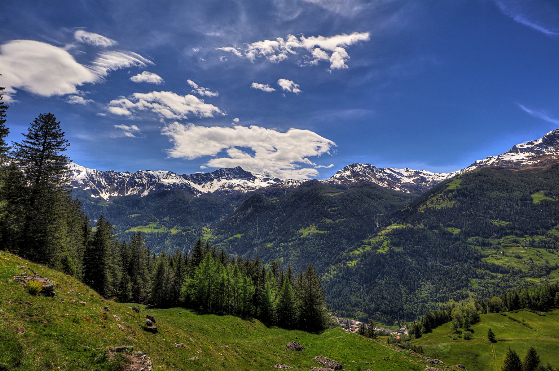 IMG_4954-hdr.jpg