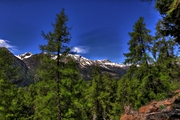 IMG_4829-hdr.jpg