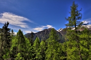 IMG_4832-hdr.jpg
