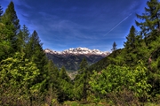 IMG_4850-hdr.jpg