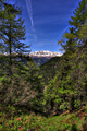 IMG_4856-hdr.jpg