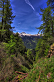 IMG_4859-hdr.jpg