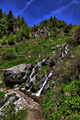 IMG_4868-hdr.jpg