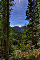 IMG_4871-hdr.jpg
