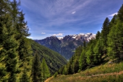 IMG_4874-hdr.jpg