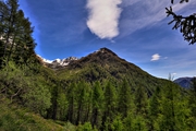 IMG_4877-hdr.jpg
