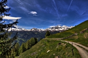 IMG_4919-hdr.jpg