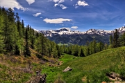 IMG_4931-hdr.jpg