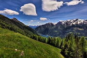 IMG_4939-hdr.jpg