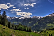 IMG_4954-hdr.jpg