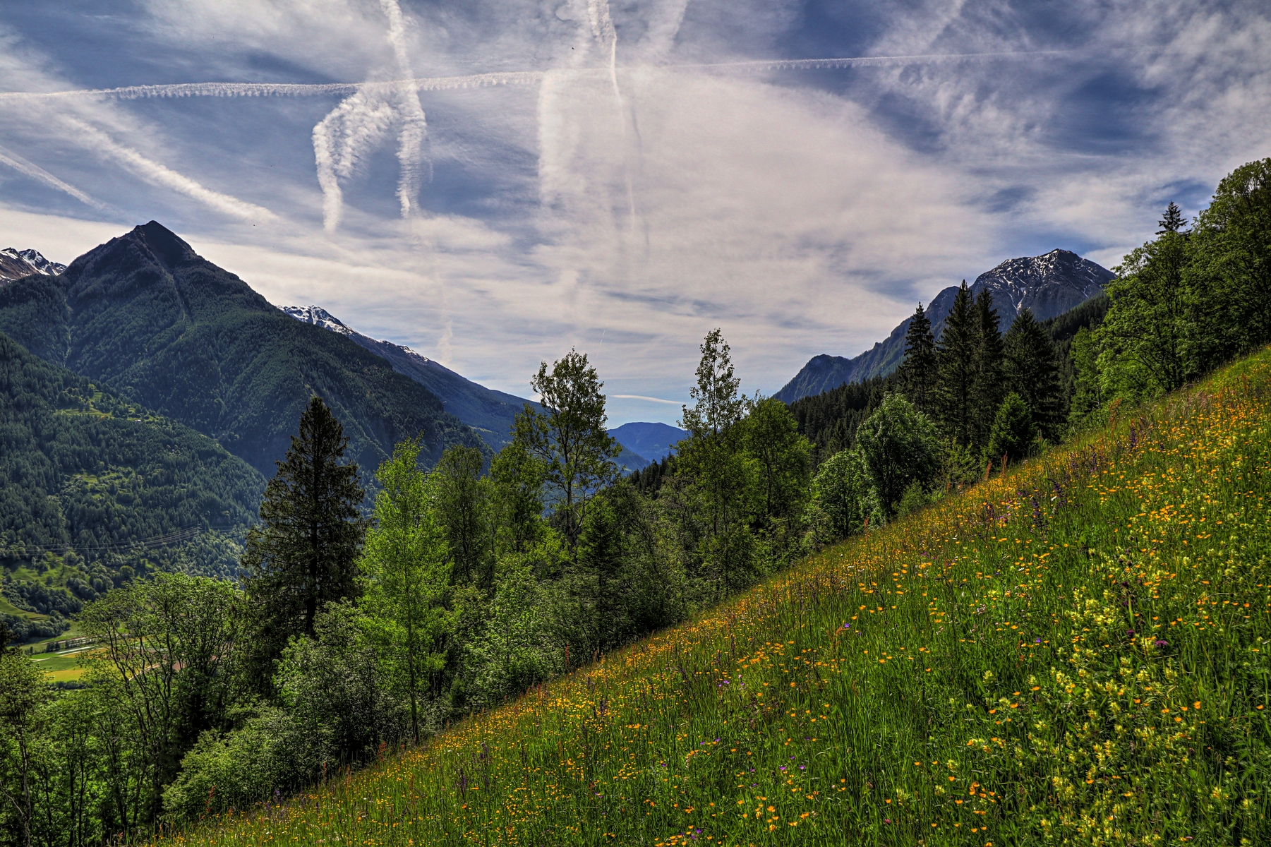 IMG_4969-hdr.jpg