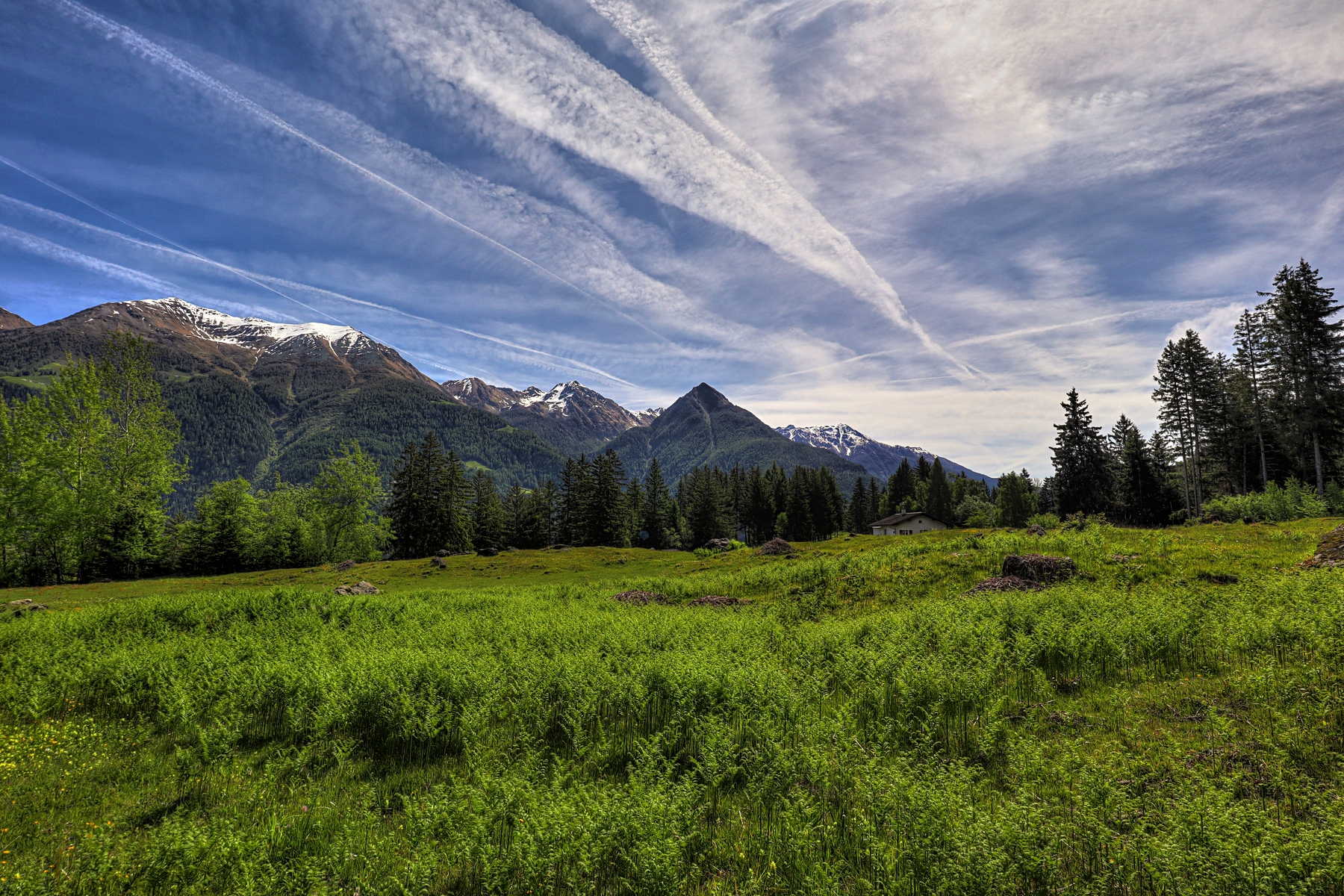 IMG_4978-hdr.jpg