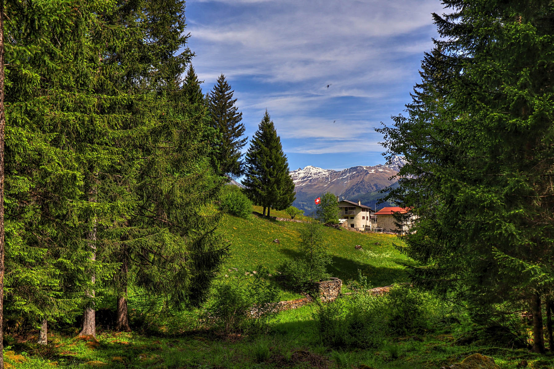 IMG_4981-hdr.jpg