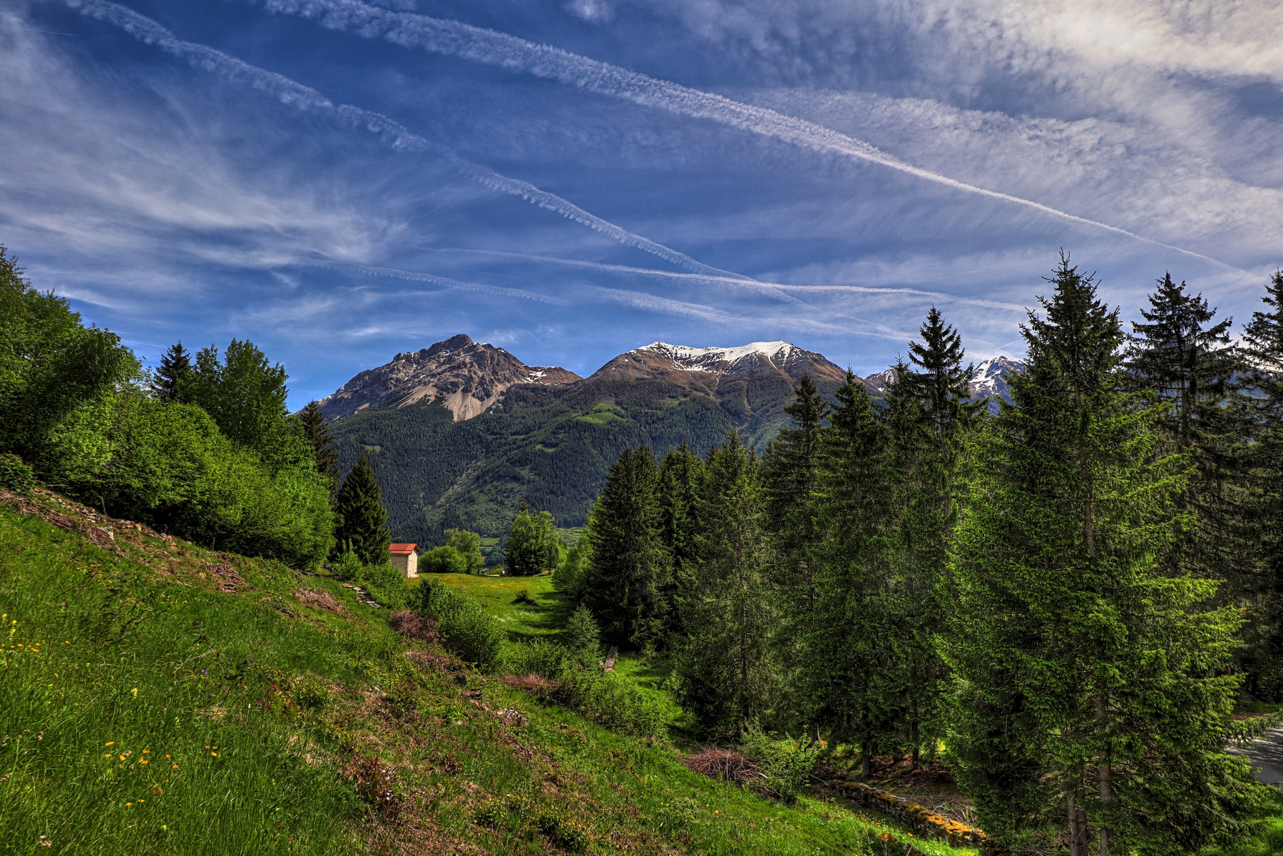 IMG_4984-hdr.jpg