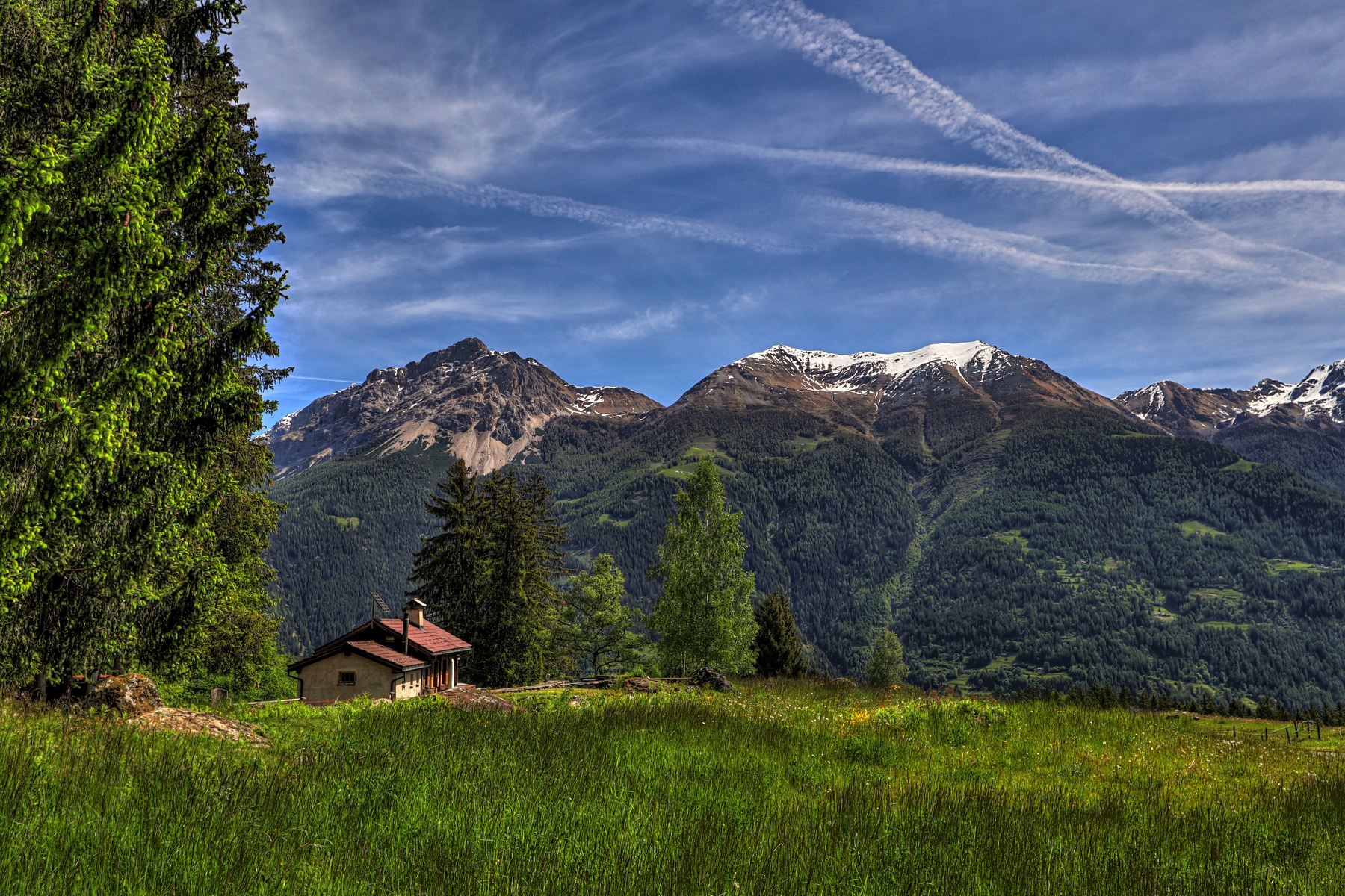 IMG_4990-hdr.jpg