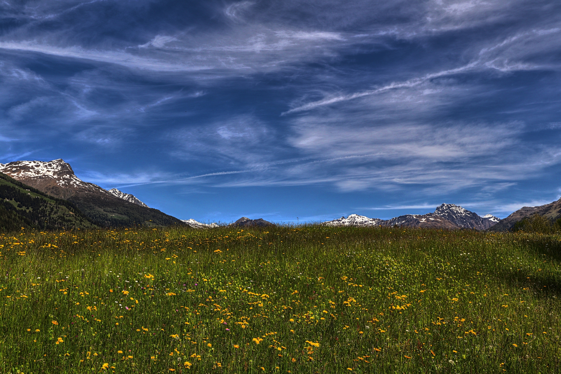 IMG_4999-hdr.jpg