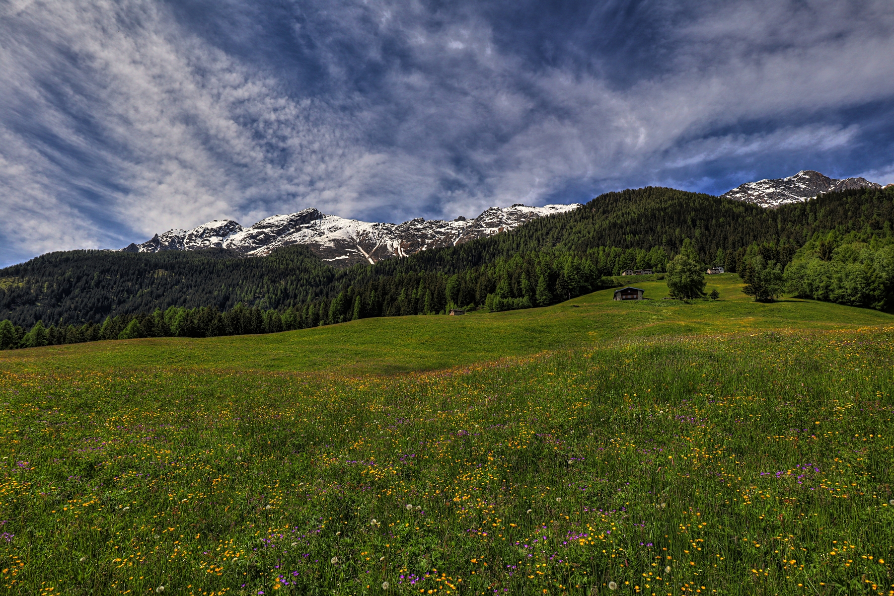 IMG_5005-hdr.jpg