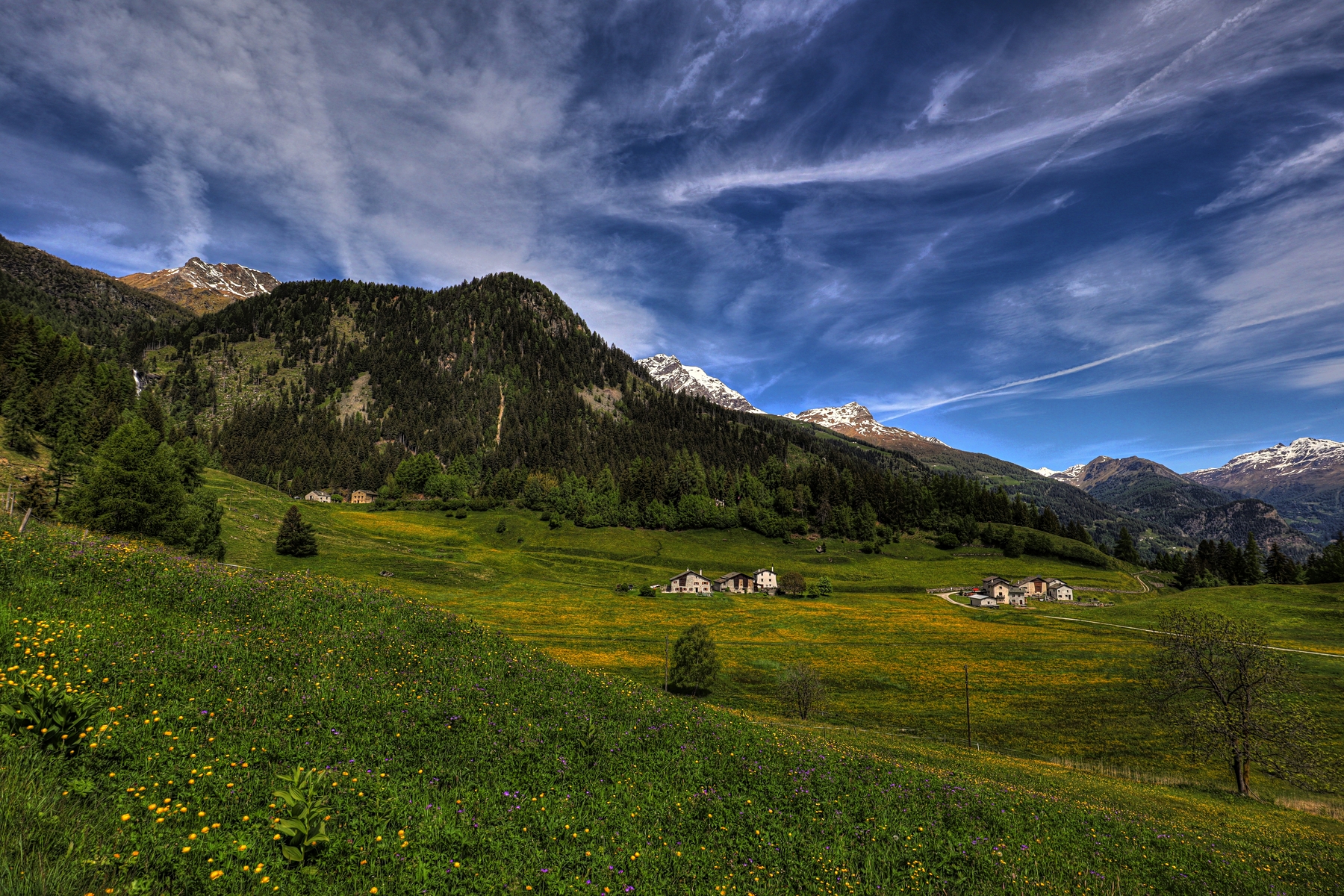 IMG_5011-hdr.jpg