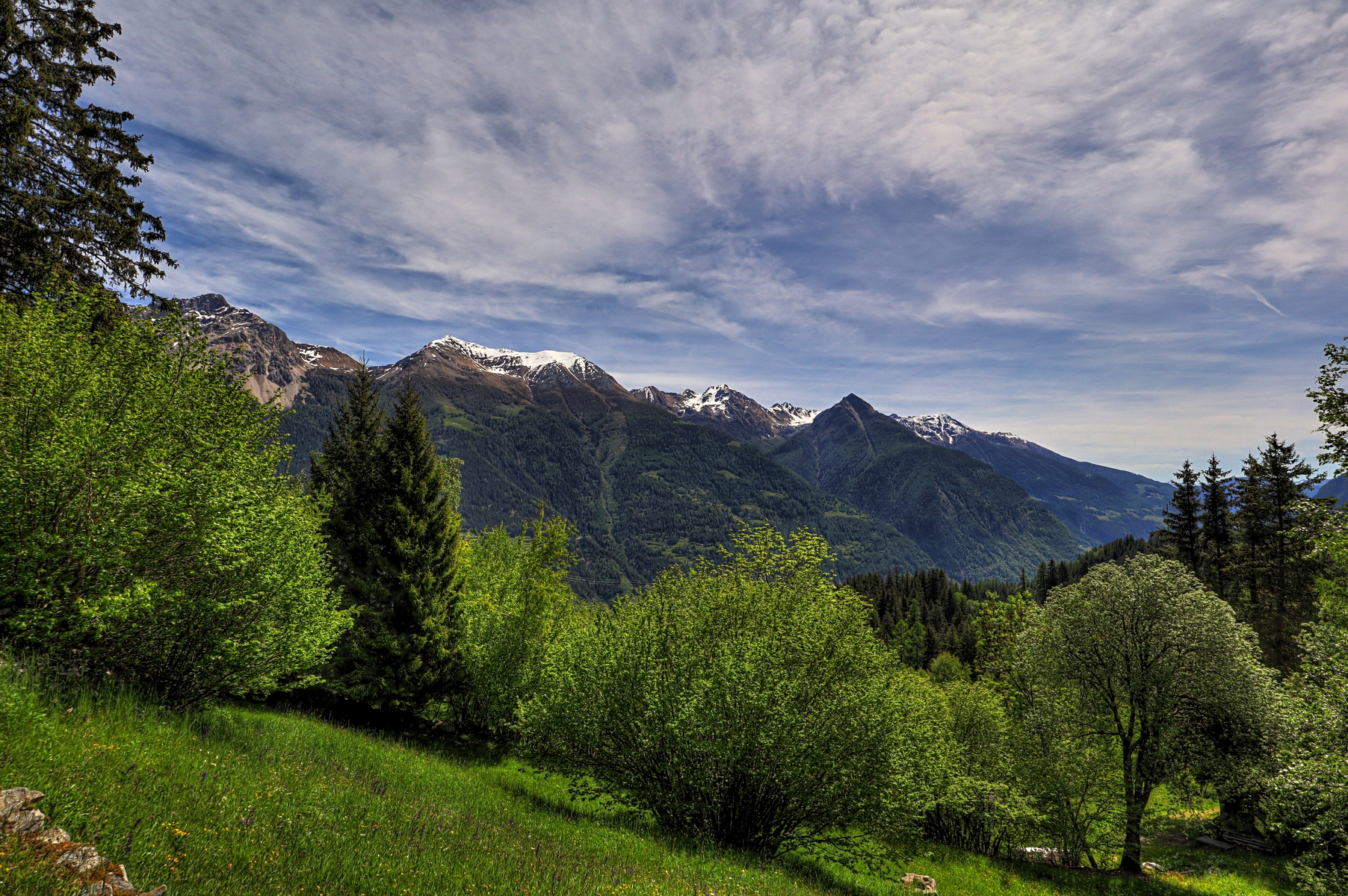 IMG_5029-hdr.jpg