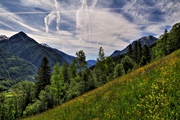 IMG_4969-hdr.jpg