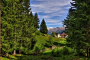 IMG_4981-hdr.jpg