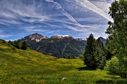 IMG_4993-hdr.jpg