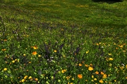 IMG_4996-hdr.jpg