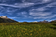 IMG_4999-hdr.jpg