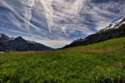 IMG_5008-hdr.jpg