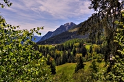 IMG_5032-hdr.jpg