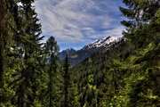 IMG_5047-hdr.jpg