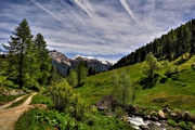 IMG_5062-hdr.jpg