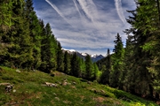 IMG_5065-hdr.jpg