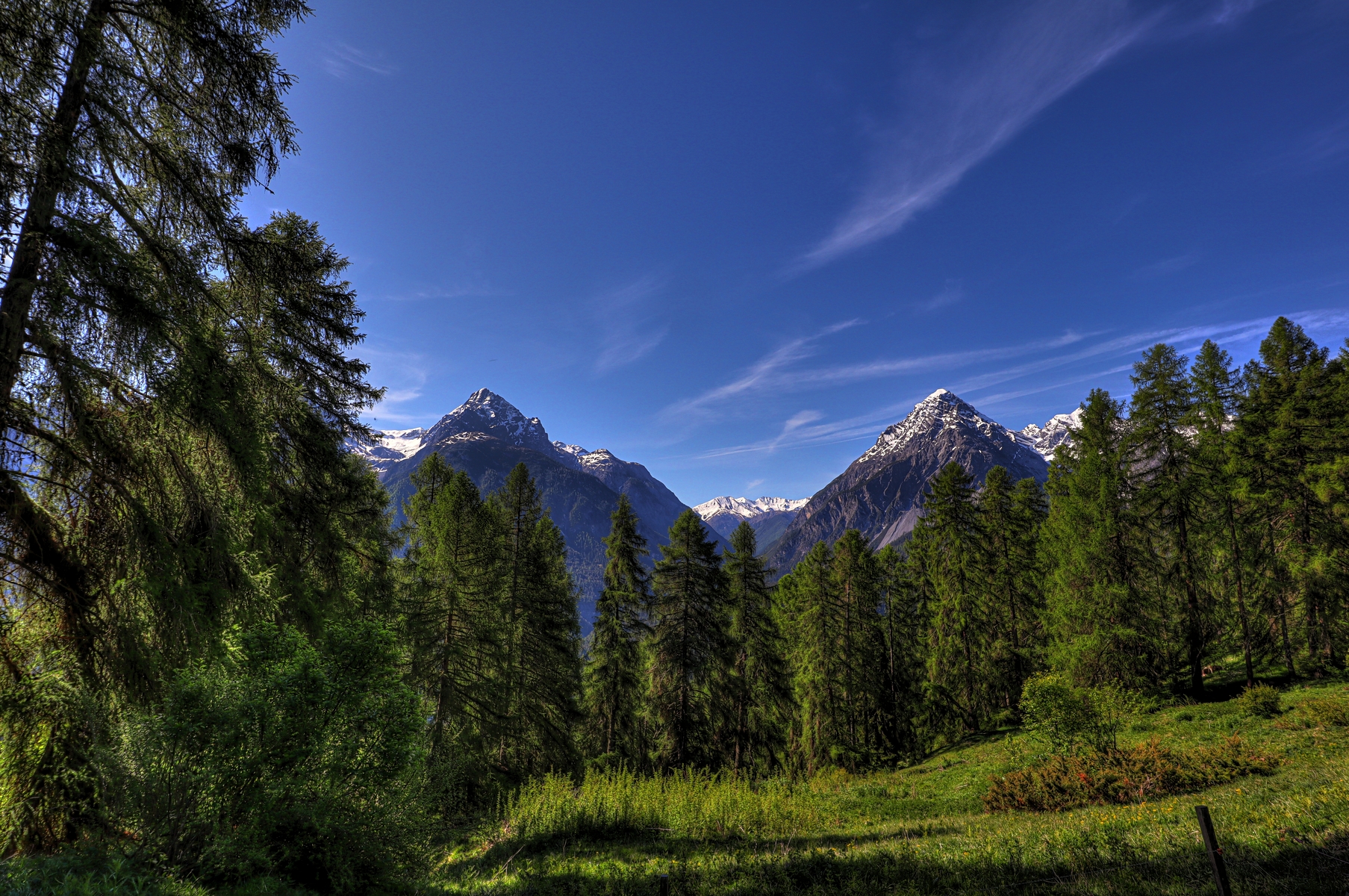 IMG_5146-hdr.jpg