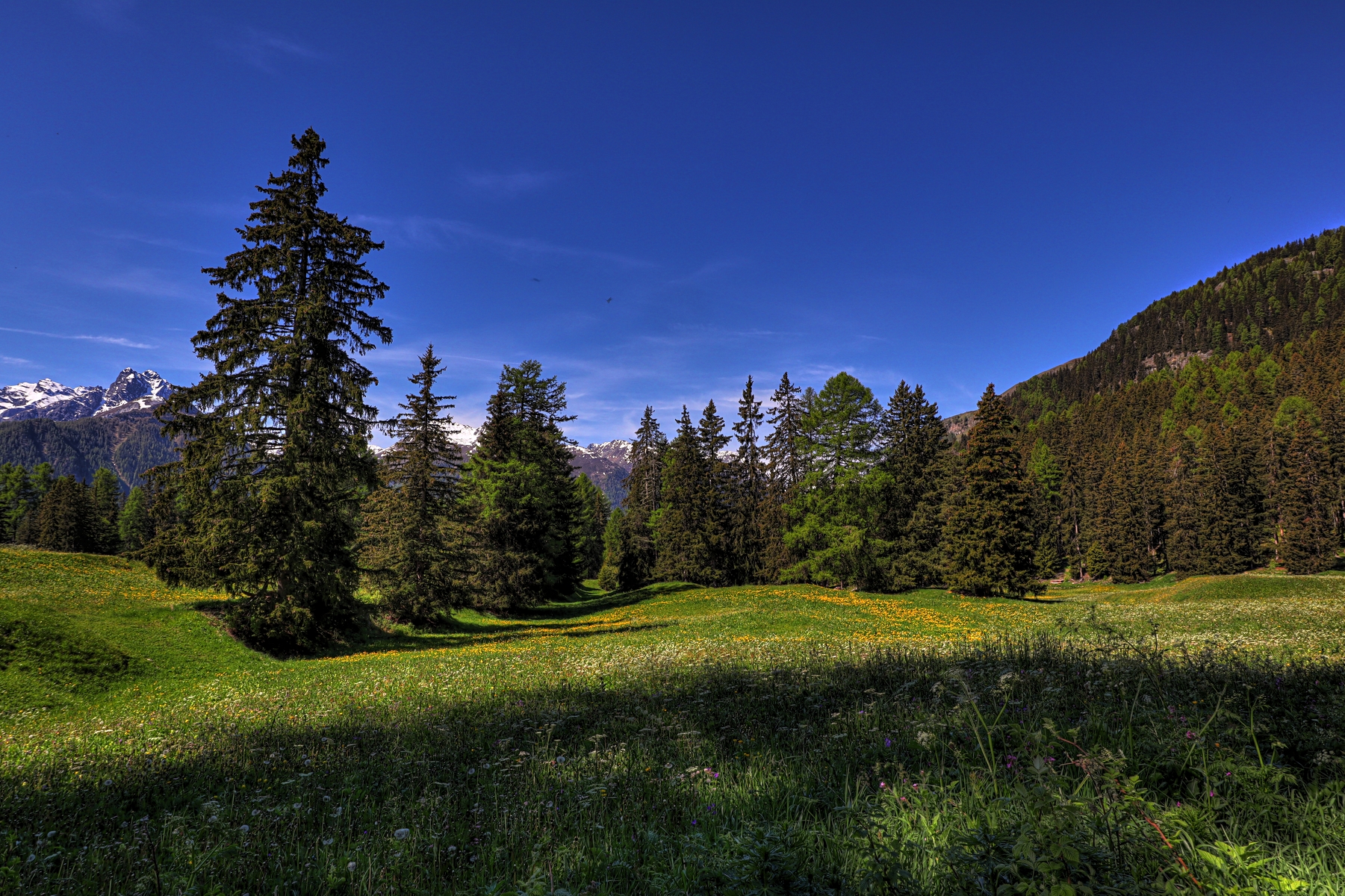 IMG_5173-hdr.jpg