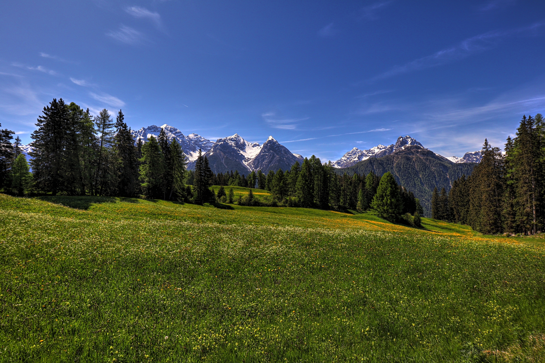 IMG_5179-hdr.jpg