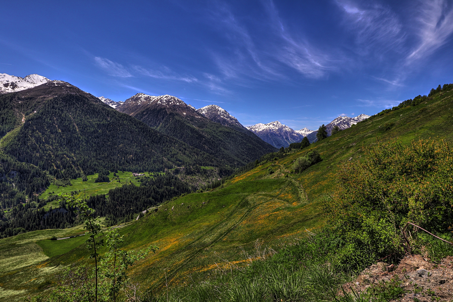 IMG_5221-hdr.jpg